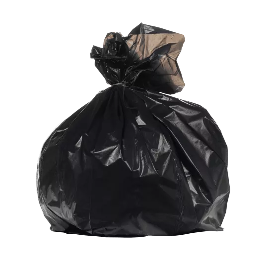 Sacs poubelle 30L  Noir BD25μ Carton de 500
